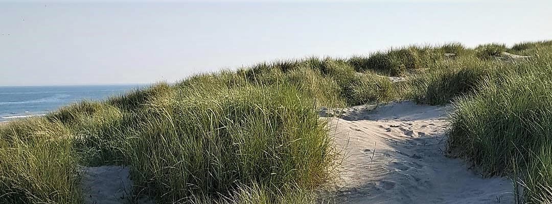 Strandhotellet Blokhus