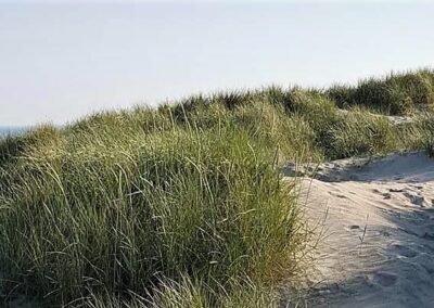 Strandhotellet Blokhus